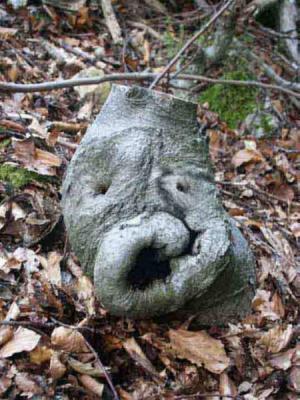 16. ERSTAUNTE WURZEL - Burre Carmen - auf - Array - 16. ERSTAUNTE WURZEL - Burre Carmen - auf - Array -