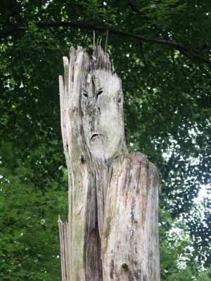 1. ABGEBROCHENER RIESE1 - Burre Carmen - auf - Array - 1. ABGEBROCHENER RIESE1 - Burre Carmen - auf - Array -