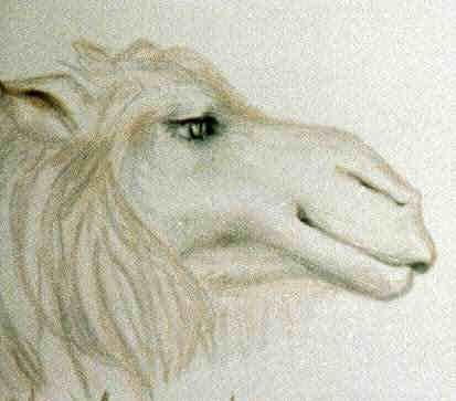 Mona Rohlffs Nr.19 - Mona Rohlffs - auf - Array - Mona Rohlffs Nr.19 - Mona Rohlffs - auf - Array -