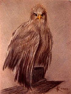 Mona Rohlffs Nr.2 - Mona Rohlffs - auf - Array - Mona Rohlffs Nr.2 - Mona Rohlffs - auf - Array -