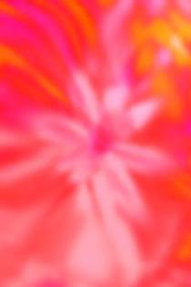 Blumenelfe - Thomas Hasenberger - auf - Array - Blumenelfe - Thomas Hasenberger - auf - Array -