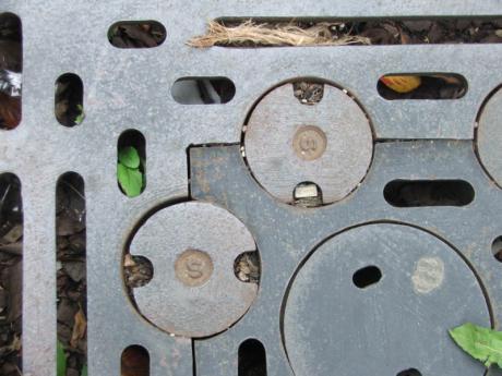 Baumeinfassung 1 - Hanka & Frank Koebsch - auf - Array - Baumeinfassung 1 - Hanka & Frank Koebsch - auf - Array -