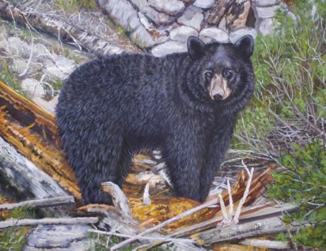 Bär (2006) - Karin Broszeit-Borchert - Array auf Array - Array - Bär (2006) - Karin Broszeit-Borchert - Array auf Array - Array -