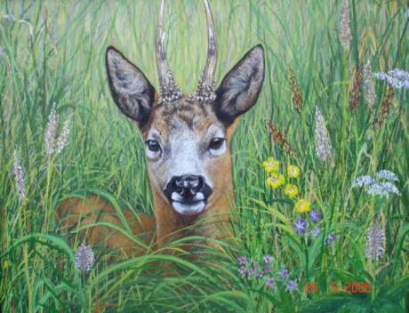 Rehbock (2006) - Karin Broszeit-Borchert - Array auf Array - Array - Rehbock (2006) - Karin Broszeit-Borchert - Array auf Array - Array -