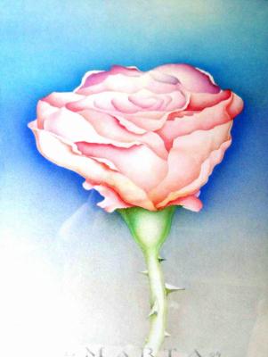 Rose 2 (2005) - Artur Marta - Array auf Array - Array - Rose 2 (2005) - Artur Marta - Array auf Array - Array -