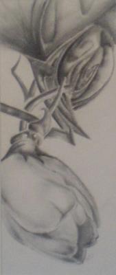 Tulpe - Thiel S - auf Array - Array - Tulpe - Thiel S - auf Array - Array -