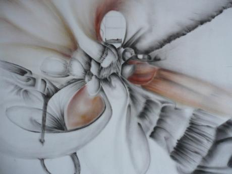 Der Schlaf (2007) - Thiel S - Array auf - Array - Der Schlaf (2007) - Thiel S - Array auf - Array -