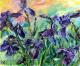 Art object - Iris (2008)