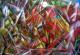 Art object - Symphonie