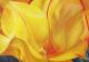 Art object - Yours flowers in may eyes #2