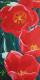 Art object - Yours flowers in my eyes #3