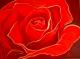Kunstwerk - Red Rose