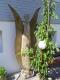 Art object - -ENGEL-