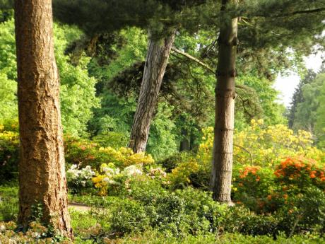 Bremen - Bürgerpark-Impression - Wolfgang Bergter - Array auf Array - Array - Bremen - Bürgerpark-Impression - Wolfgang Bergter - Array auf Array - Array -
