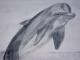 Art object - Delphin