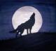 Art object - crying wolf