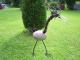 Art object - ---AllgÃ¤uer Ur-Vogel-Goggeler