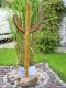 Art object - ---Arizona Kaktus-