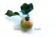 Art object - Apfel
