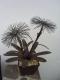 Art object - ---Metall Blume-