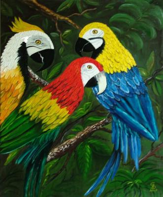 Amazonas - Jacqueline Scheib - Array auf Array - Array - Array Amazonas - Jacqueline Scheib - Array auf Array - Array - Array