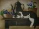Kunstwerk - Stillleben mit Schlafender Katze