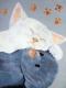 Art object - Kuschelzeit