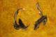 Art object - HIEROGLYPHEN: Ohne Titel