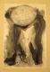 Art object - RU(I)NEN-SCHRIFT: Atlas