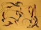 Art object - (3) DEIN TITEL: