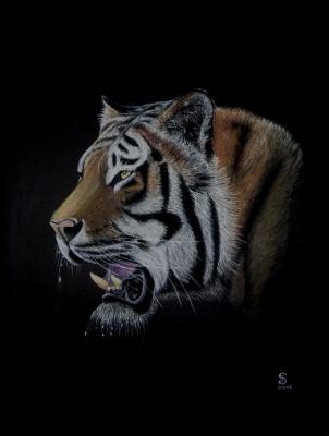 TIGER PORTRAIT - Jacqueline Scheib - Array auf Array - Array - Array TIGER PORTRAIT - Jacqueline Scheib - Array auf Array - Array - Array