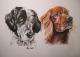 Art object - Zwei Hundeportraits in Pastellkreide