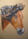 Art object - Pferdeportrait in Pastell