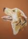 Art object - Hund im seilichen Profil, Portrait in Pastell