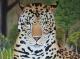 Art object - Wildcat 1