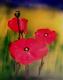 Art object - 3x Mohn