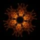 Kunstwerk - Feuerblume 2008082206