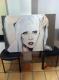 Art object - Lady Gaga