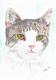Art object - Kater Merlin