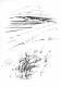 Art object - Landschaft 8