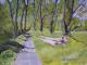 Art object - Weg im Park
