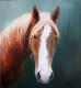 Art object - Pferd