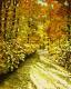 Kunstwerk - Herbstsonne im PfÃ¤lzer Wald 