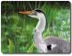 Art object - VogelART