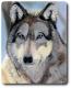 Art object - TierART Wolf