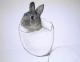 Art object - Der Hase im Ei