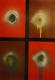 Art object - Neues Kunstwerk