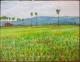 Kunstwerk - Reisfelder / Kambodscha