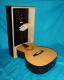 Art object - Wand Installation/ Gitarre