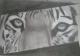 Kunstwerk - Eye of the tiger